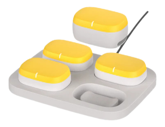 Multi-dock charger